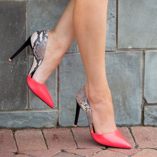 aldo 1